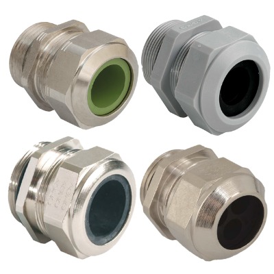 AGRO Progress NϸN̖N|^