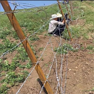 ӱFzSҹLFzIWƽС^^IW