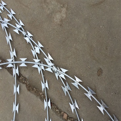 ӱ̽zL\SҹB\PIWɽIƬ̽z