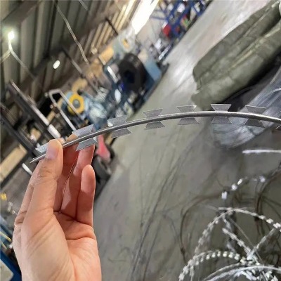 ӱ\ƬKf\ƬK304P䓵Ƭ̾W