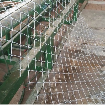 ӱ\WSҹֲ݇FzWˮ@BֳoW