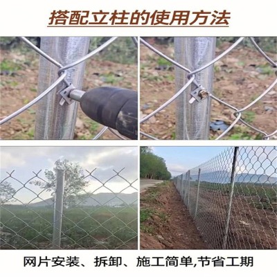 ӱ\ξW(wng)Sҹ(yng)|@(chng)o(h)(yng)µGW(wng)