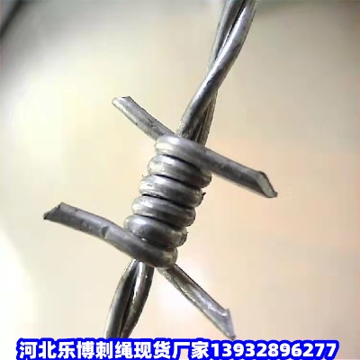 |·̾WFX·BoFzW|·Bo䓽zW