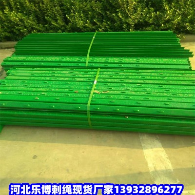 ɽشKW_F޼FzWpɽF޼̾W