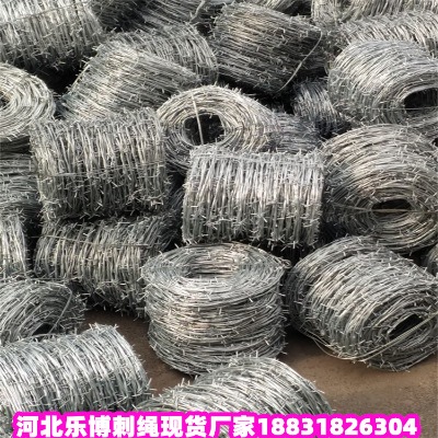 \KS ȦɽFzW T{ȦɽFzW