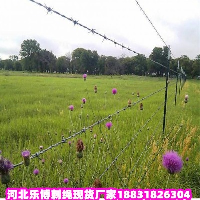 ɽ|\KS ǟ\K RK̾W(wng)