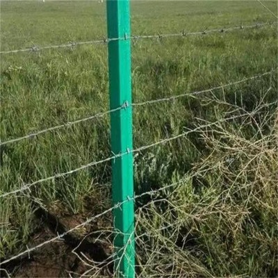 臺(tái)北鍍鋅鐵蒺藜廠家臺(tái)灣熱鍍鋅刺繩新北熱鍍鋅刺繩刺網(wǎng)