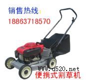 ʽݙC yʽݙC ݙCr С͸ݙC