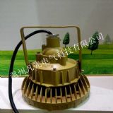 防爆燈 防爆免維護(hù)照明燈