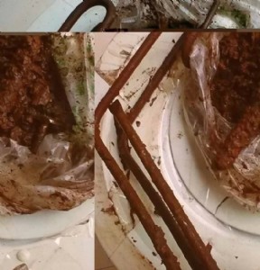 Cʲô(rn)󣬼ϴ(w)L(zhng)ӯ@