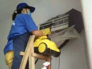 СIĉ룬Ȼo˼ϴИI