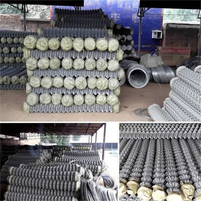 ӱwWSҹֲ݇FzWˮ@BֳoW