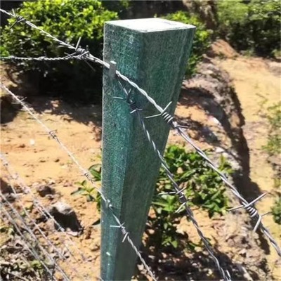 νzQ·F޼ٹ·FzWٹ·FzW