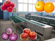 ֱʽСͶ๦ܽ(jng)xC