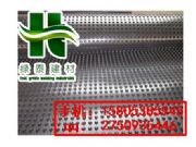 滄州車庫(kù)頂板隔根板綠化種植排水板