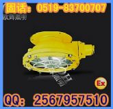 BCW6219 防爆頂燈,防爆吸頂燈