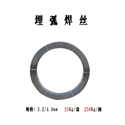 SHM2481֧݁񻡶Ѻˎоz