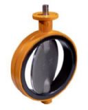 (yng)mWouterWitzel(D)