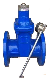 法蘭防盜加密軟密封閘閥