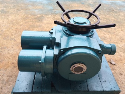 dzw20-18 dzw20yT늄(dng)b