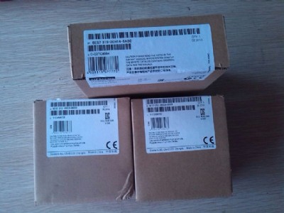 S7-300ݔģK6ES73317KF020AB0