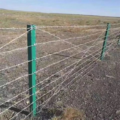 ӱF޼SҹȦɽFzWĳȦɽ䓽zW