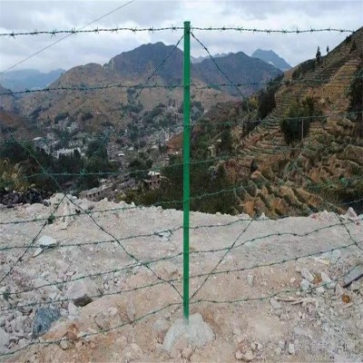 ӱFzxŏSҹ(yng)LFzIW(wng)ƽС^(q)^IW(wng)