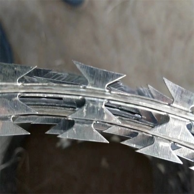 ӱOzƬ̾WSҹ|PƬKꖲP䓷̾W