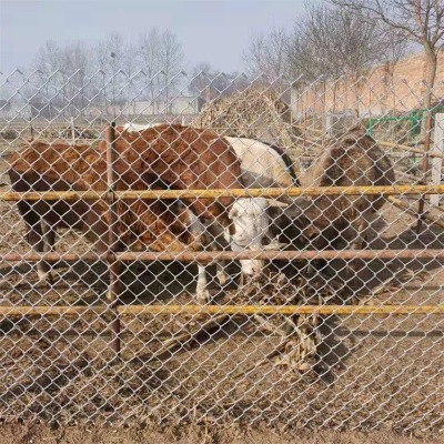 ӱ\FzW(wng)SӰֲ݇FzW(wng)ֹ@B(yng)ֳo(h)W(wng)