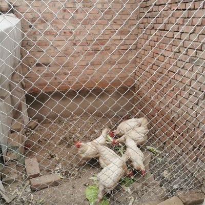 ӱV^WSҹຣ@oھWڸxW