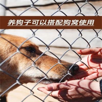 河北礦用菱形錨網廠家日喀則勾花養雞防護網昌都鍍鋅鐵絲隔離網