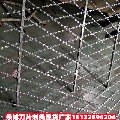 衡水熱鍍鋅刀片刺繩現貨廠家遼寧機場防護網瓦房店滾籠防盜隔離網