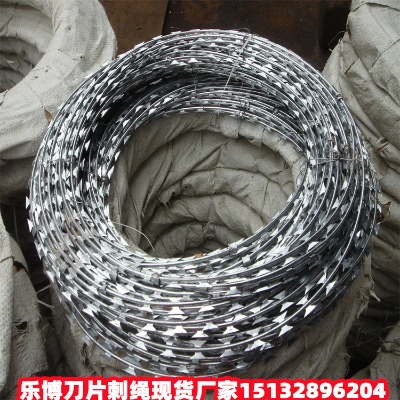 河北鍍鋅刀片刺繩廠家安徽高新防銹防盜網天長防盜刀片刺絲