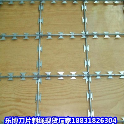 西藏鍍鋅刺繩廠家 拉薩滾籠鐵絲網 昌都機場防護網