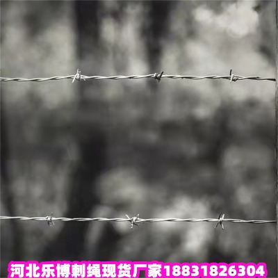 臺灣鍍鋅刺繩廠家 臺北熱鍍鋅刺繩 新北刺繩刺網