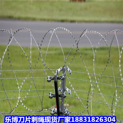 湖北鍍鋅刺繩廠家 赤壁14號刀片刺絲滾籠