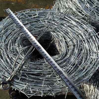 河北熱鍍鋅刺繩現貨廠家