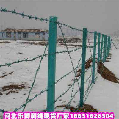 安平熱鍍鋅刺繩現(xiàn)貨廠家山西防爬刺網(wǎng)晉城鐵蒺藜帶刺鐵絲網(wǎng)