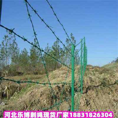 安平熱鍍鋅刺繩現貨廠家重慶鍍鋅有刺鐵絲網城口鍍鋅鐵蒺藜