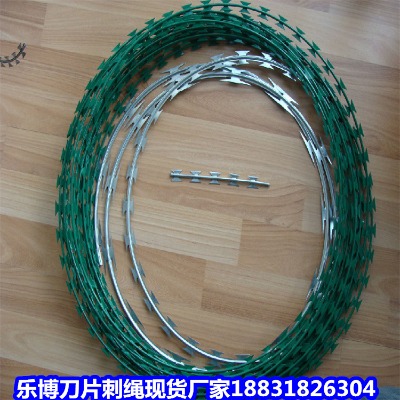 河北熱鍍鋅刀片刺繩現貨廠家安徽監獄圍墻防盜網天長防爬刺網