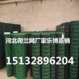 內蒙古養殖綠色鐵絲網呼和浩特圈山荷蘭網30米長一卷