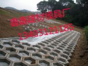 BioģߏSl(f) ˮoģ̼