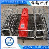 朔州高強度長壽命母豬產床
