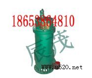 5.5KW防爆電泵(大圖)(圖)