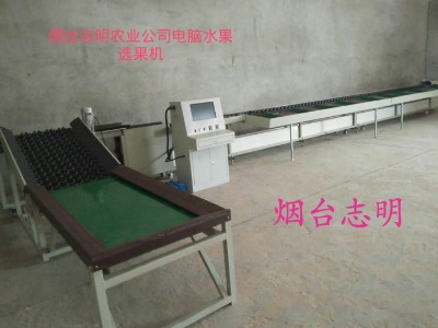 電腦程控水果分色打蠟選果加工設備