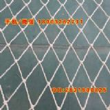 ^^LֱN^ʩԽWF·ԽWȫW