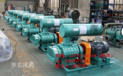 150口徑污水處理鼓風(fēng)機(jī)