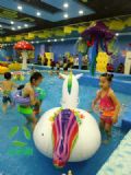 兒童室內(nèi)恒溫水上樂園行業(yè)盈利模式芳華易逝,時不你待