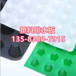 歡迎光臨==廊坊車庫頂板蓄水板廠家(生產廠家)