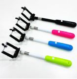 Disph ˽ģ {ėU  {YƷ